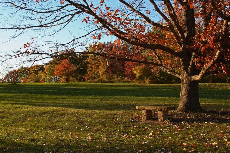 Madison, WI Homes for Sale | Madison Realtors